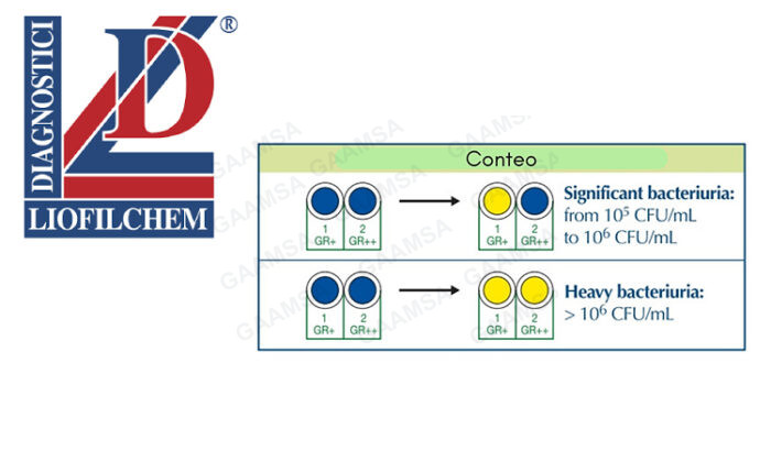 Urin System Chrom Liofilchem - Imagen 2