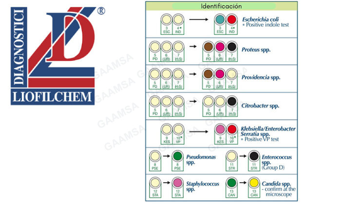 Urin System Chrom Liofilchem - Imagen 3